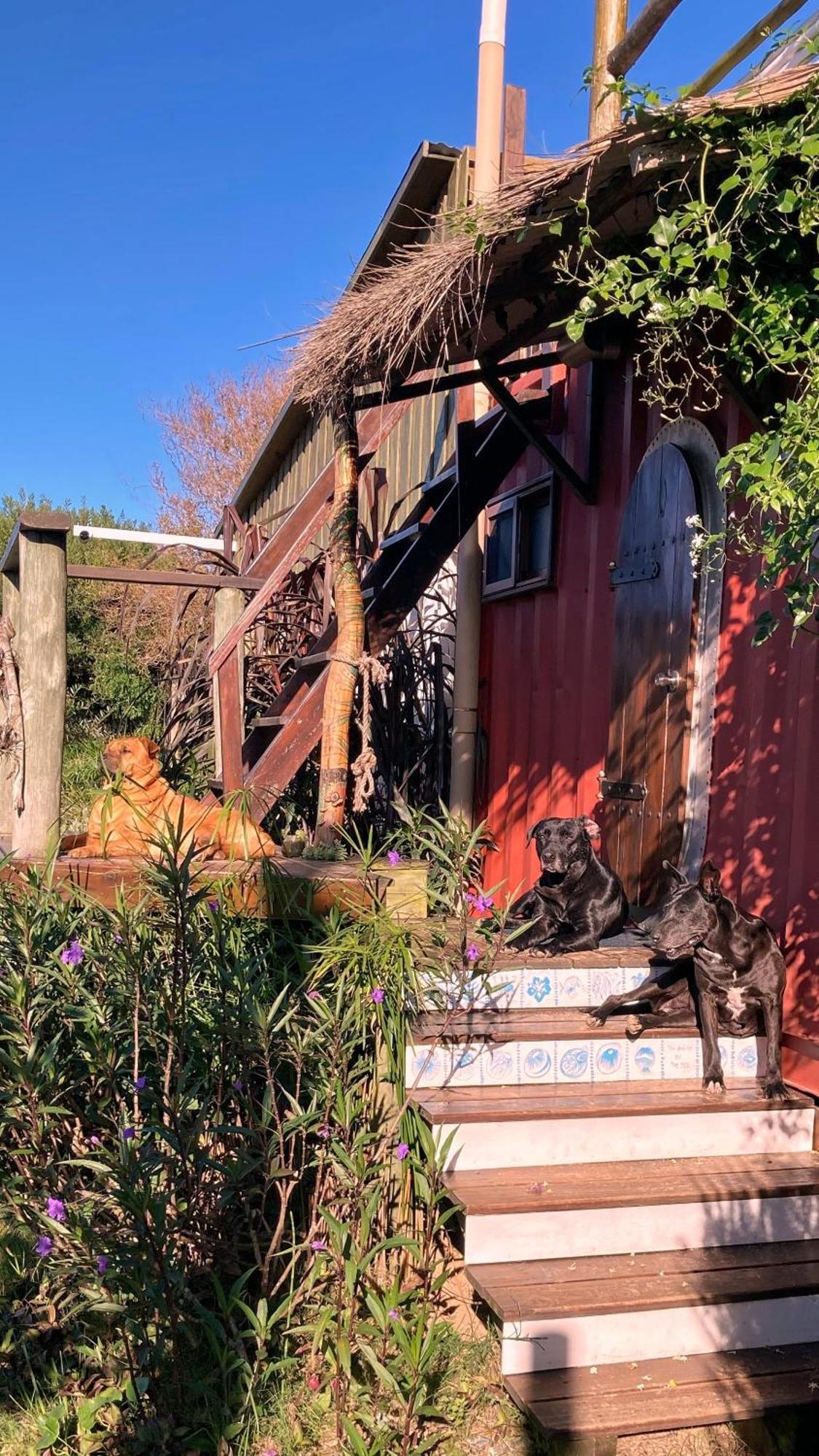 Angelo ξενώνας Punta Del Diablo Εξωτερικό φωτογραφία
