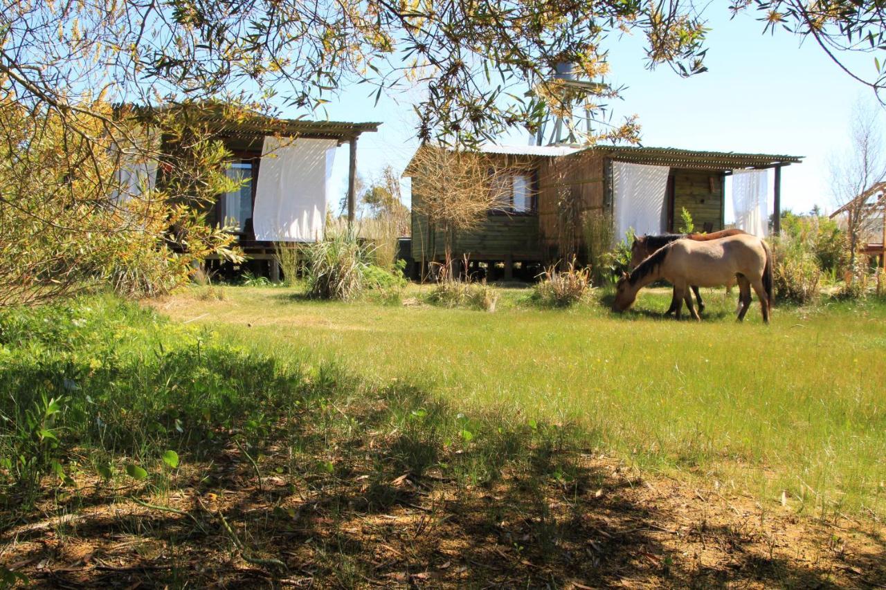 Angelo ξενώνας Punta Del Diablo Εξωτερικό φωτογραφία