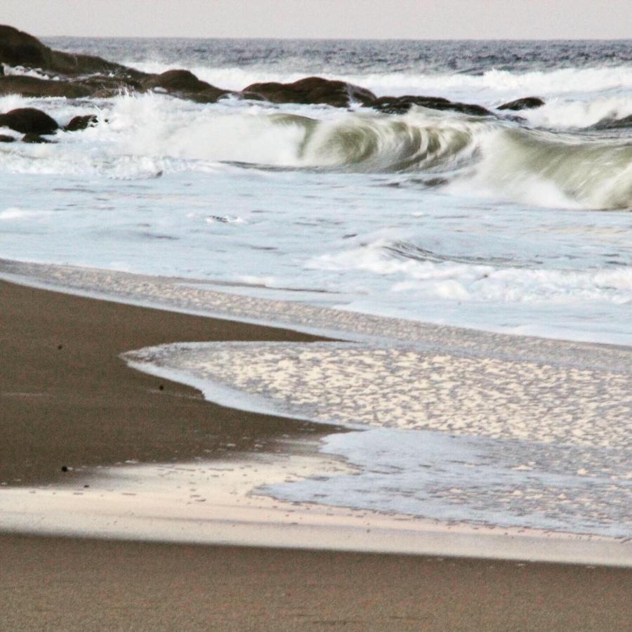 Angelo ξενώνας Punta Del Diablo Εξωτερικό φωτογραφία